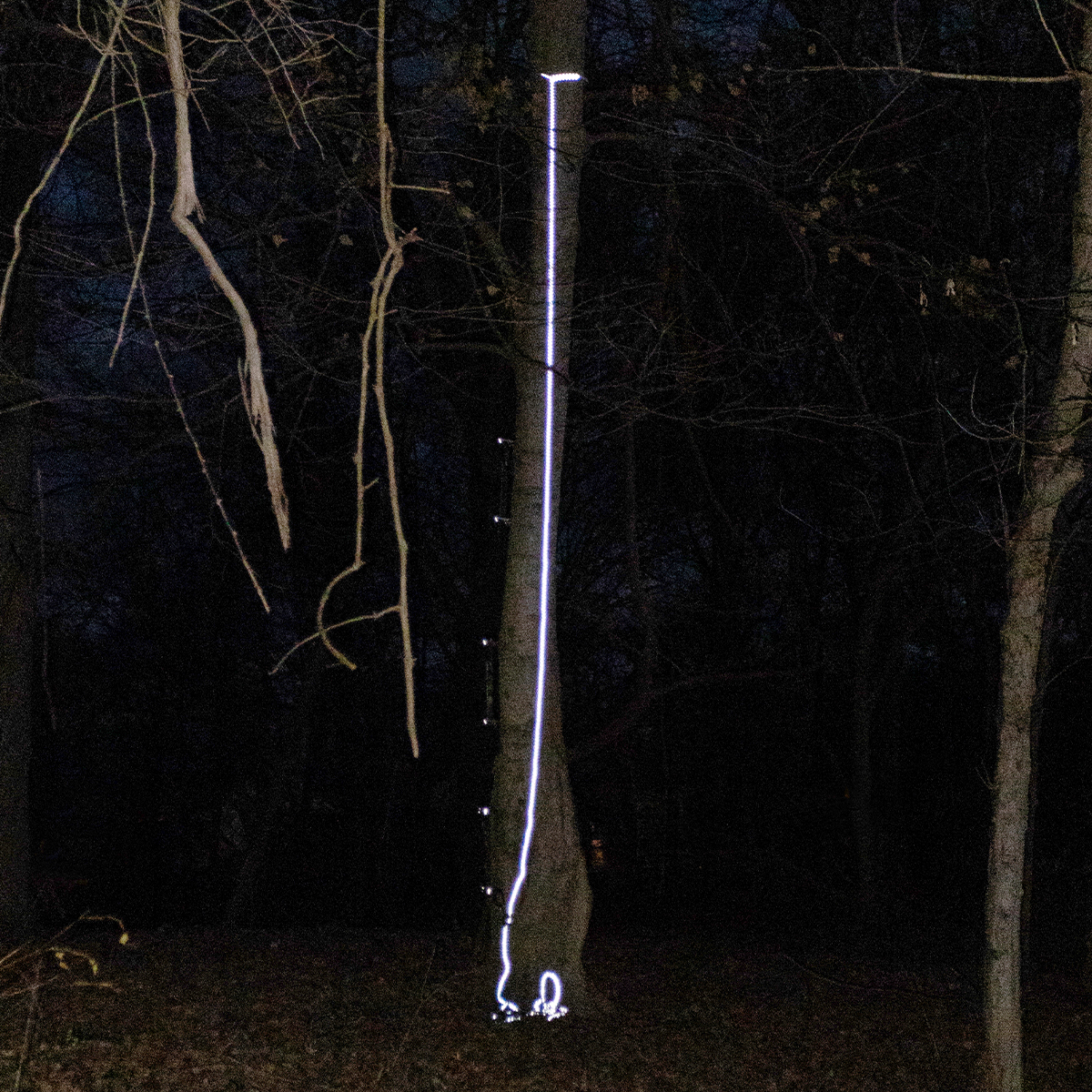 30' REFLECTIVE LIFELINES - Image 4